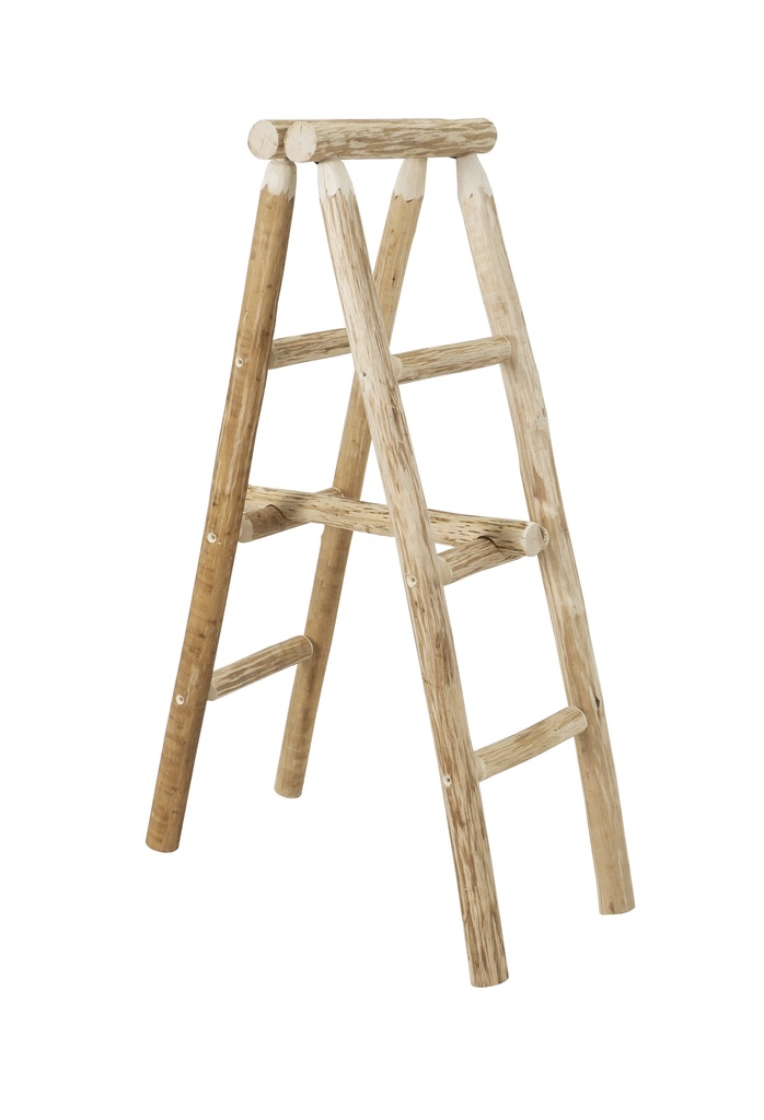 Double Echelle Déco porte Pots