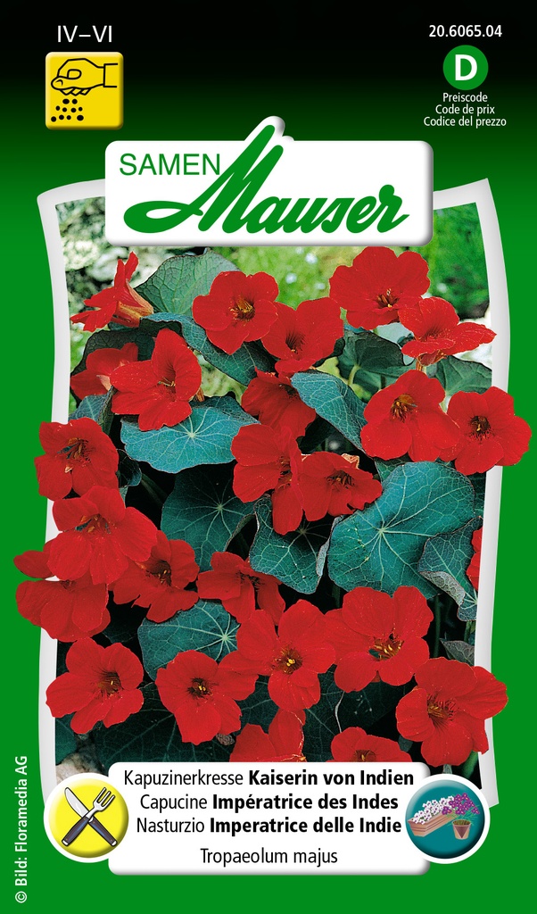 Capucine Impératrice des Indes