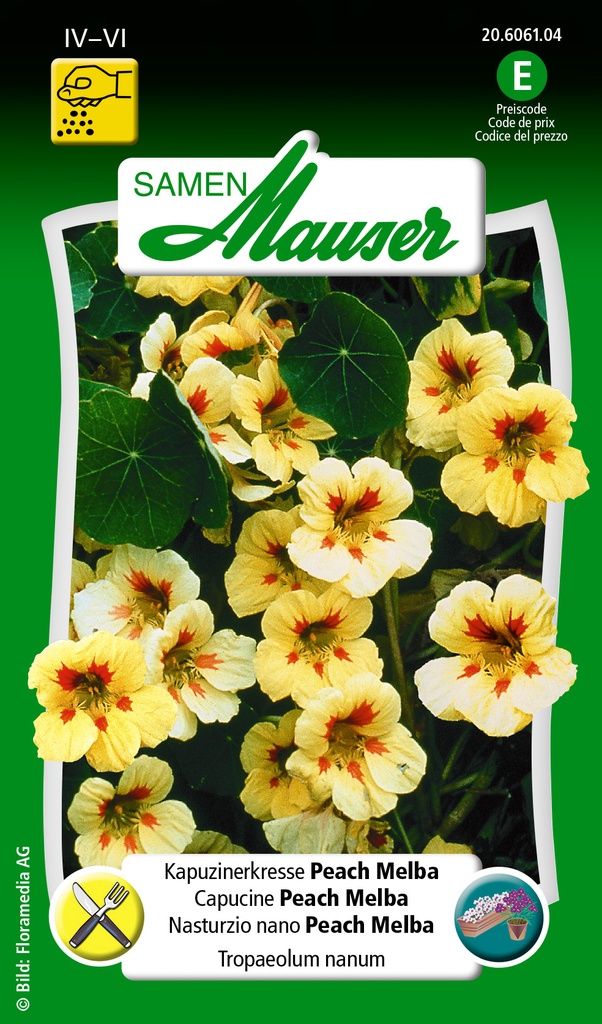 Capucine Peach Melba