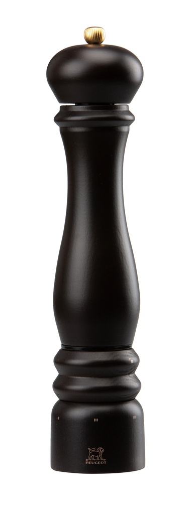 Moulin électrique Paris Chocolat