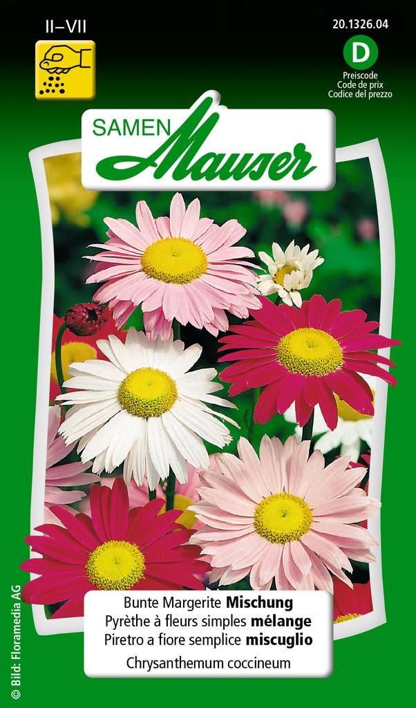 Pyrèthe à fleurs simples mélange