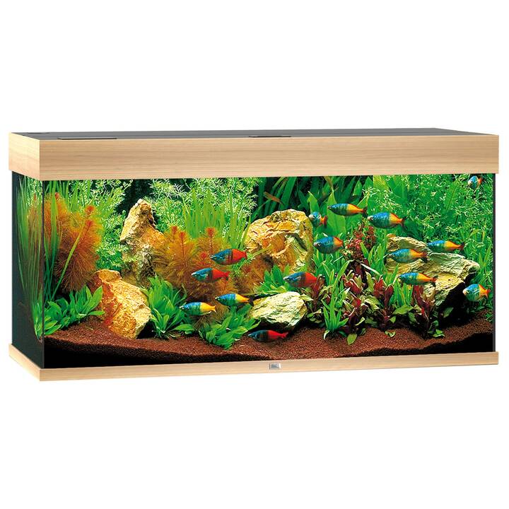 Juwel Aquarium Rio 180 Chêne clair LED