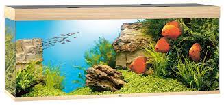 Juwel Aquarium Rio 450 Chêne clair LED