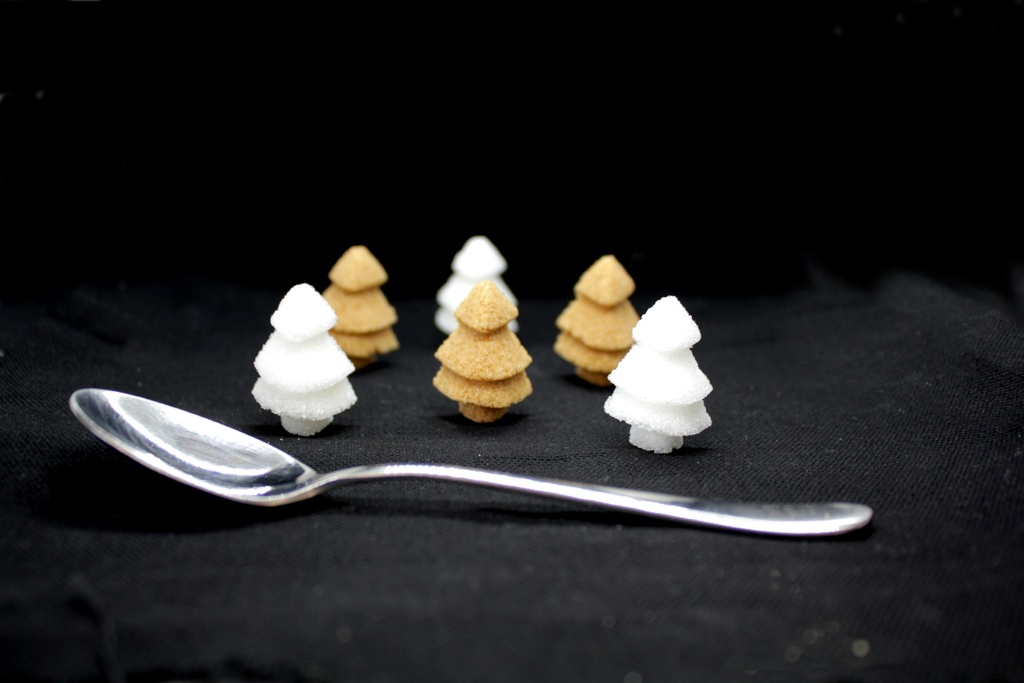 Réglette de 7 mini sapins en sucre de canne blanc et roux