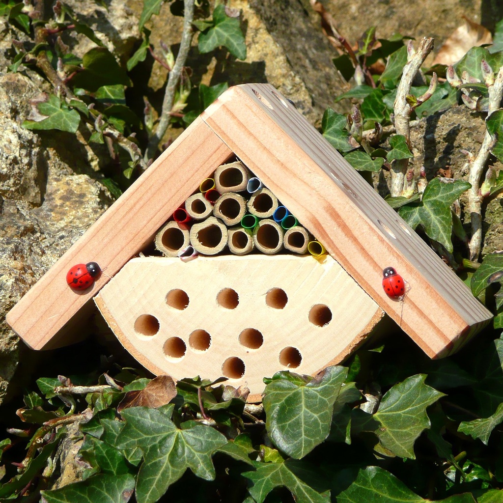 Bobby's Bug Box