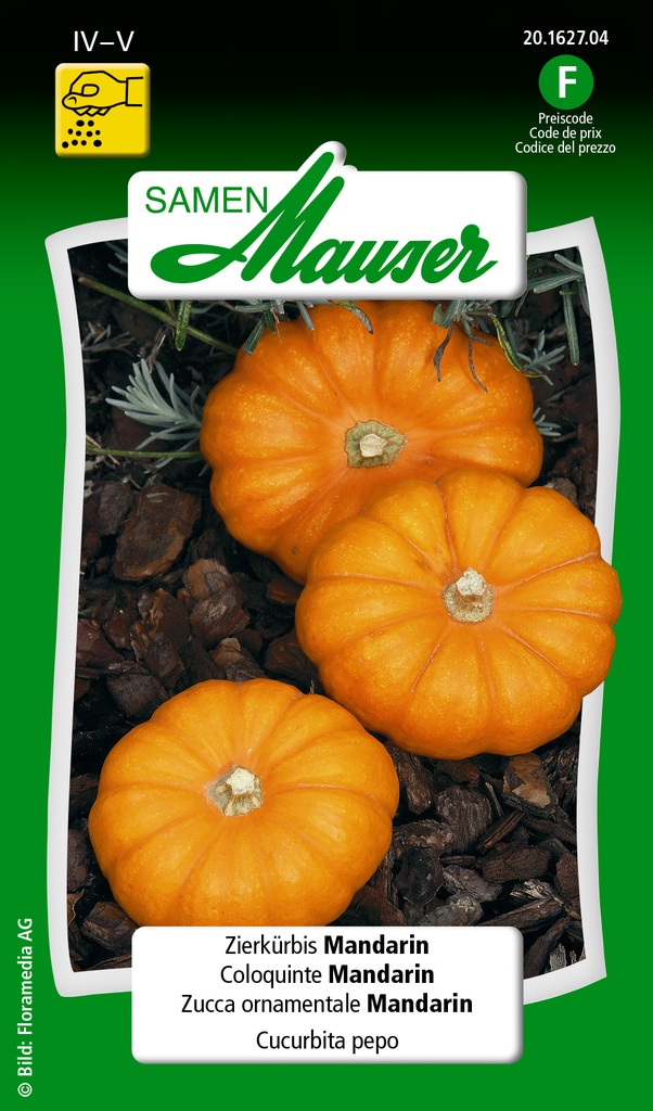 Coloquinte Mandarin