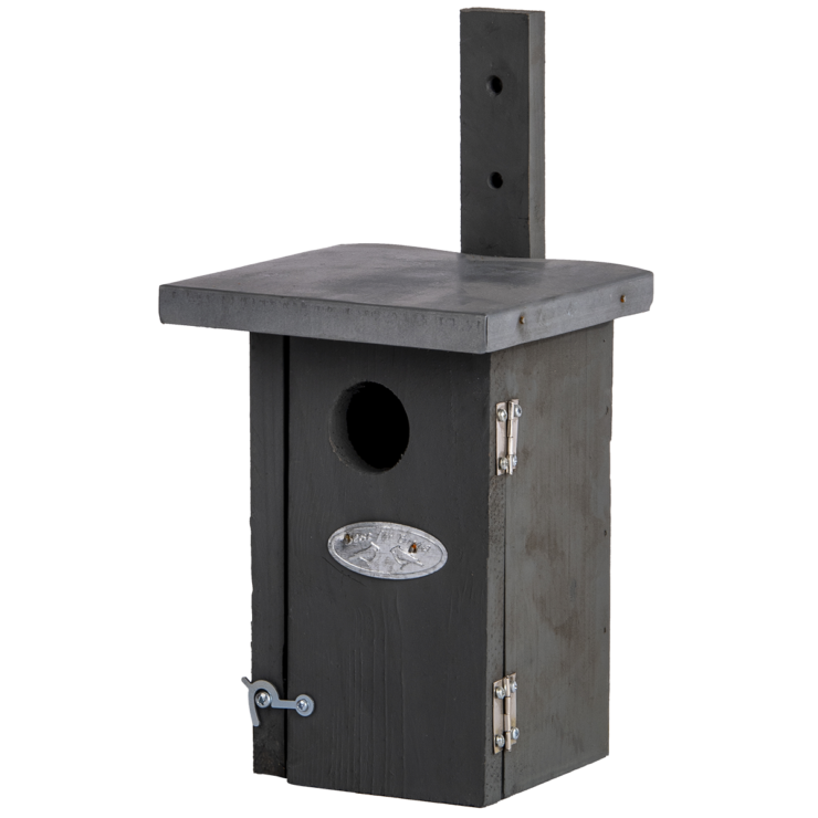 Nichoir roitelet gris