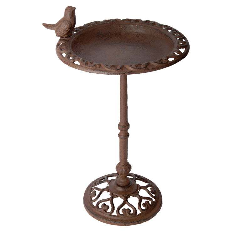 Plateau de graines sur Pied