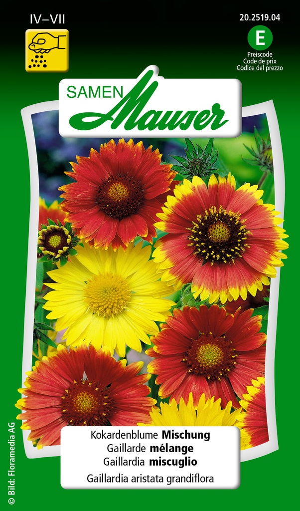 Gaillardia mélange