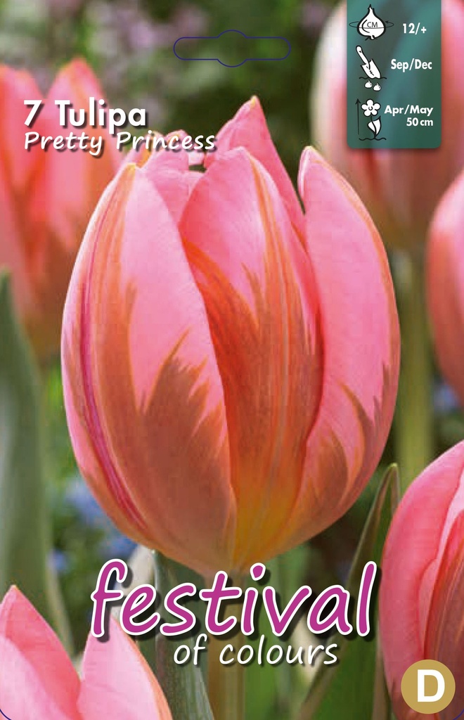 Tulipes 'Pretty Princess'