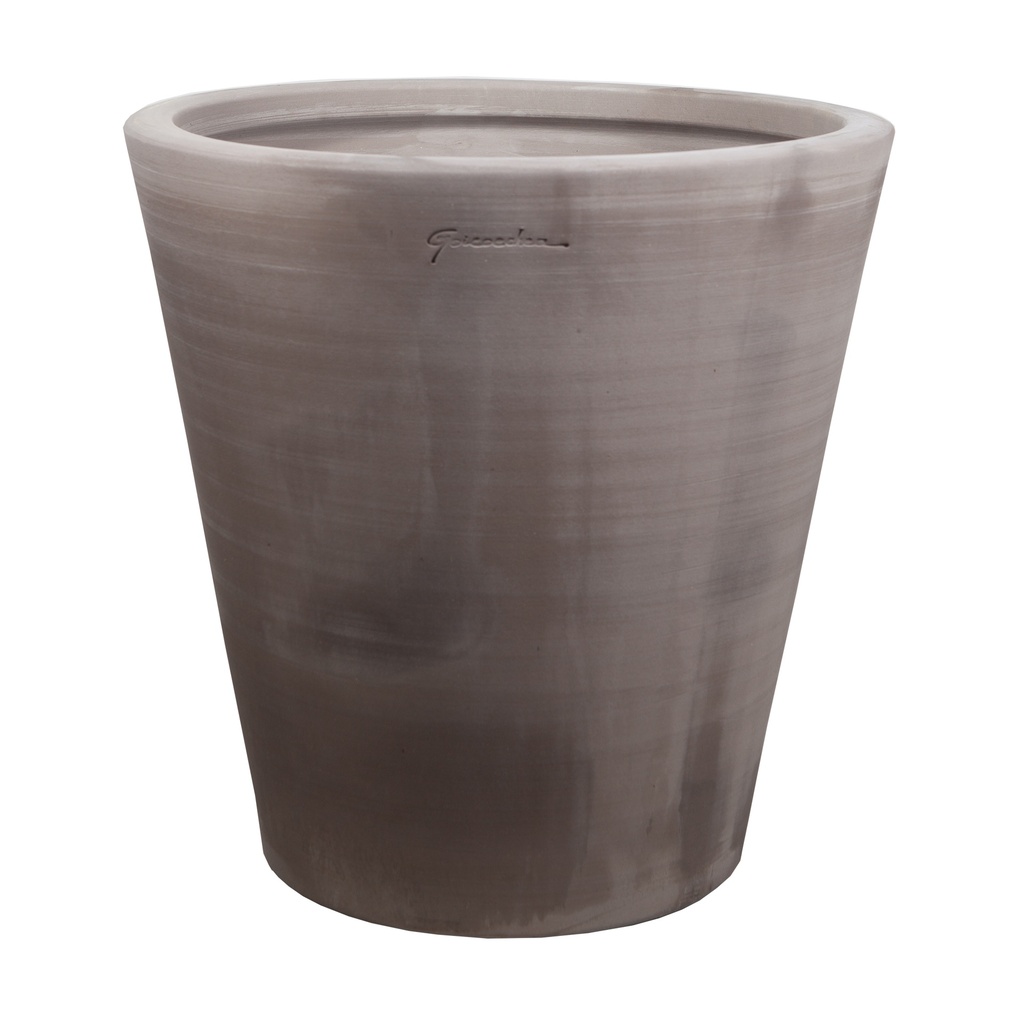 Cuvier contemporain 60*60