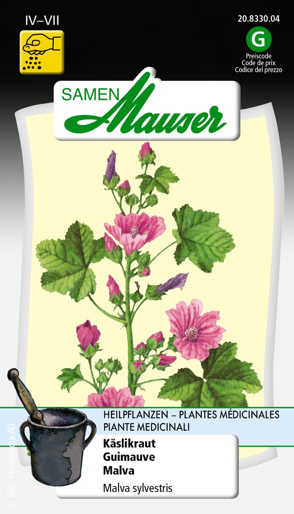 Guimauve Malva sylvestris