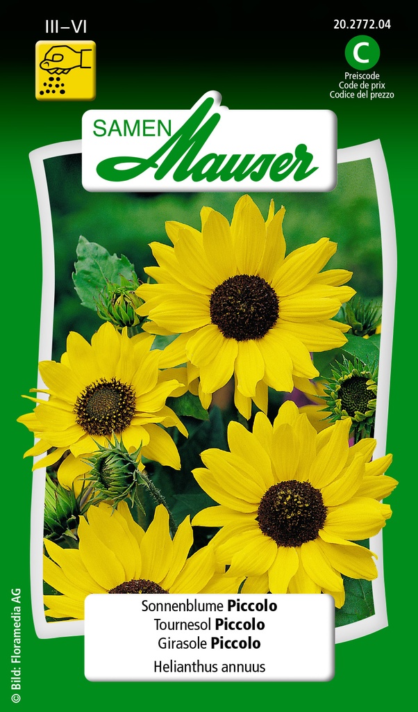 Tournesol Piccolo
