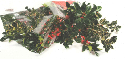 Bouquet de Houx