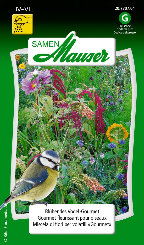Gourmet fleurissant pour oiseaux