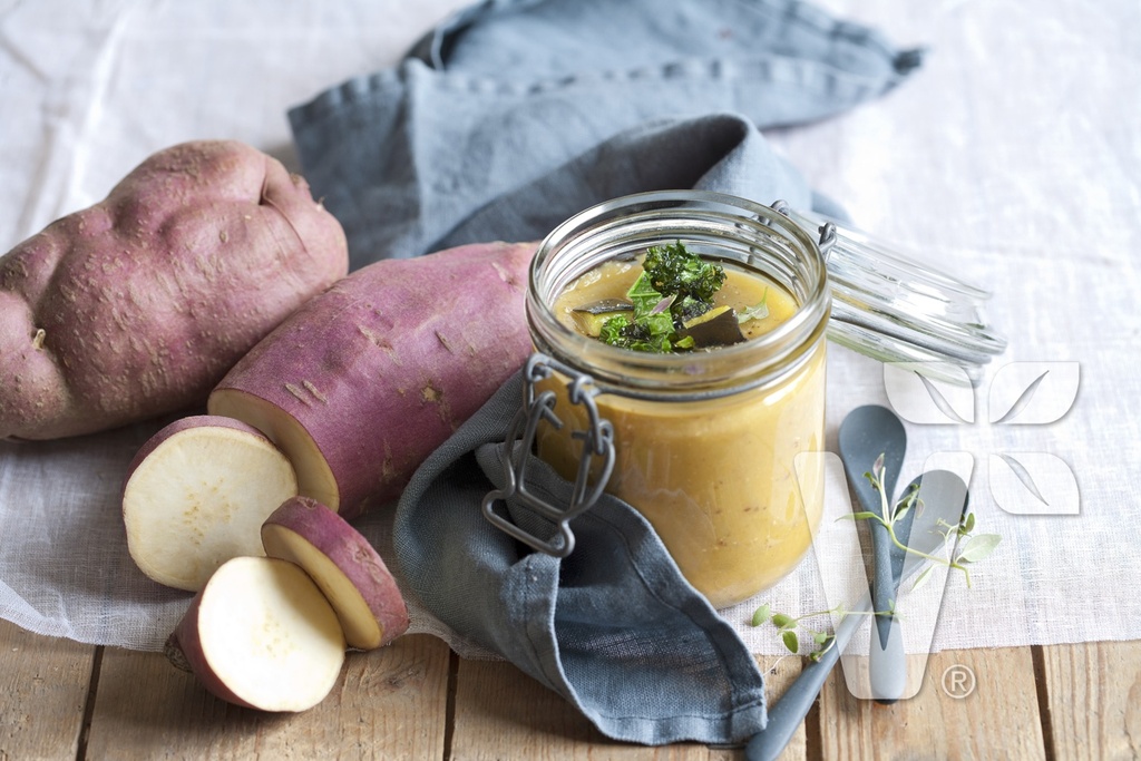 Patate douce ‘Erato White’