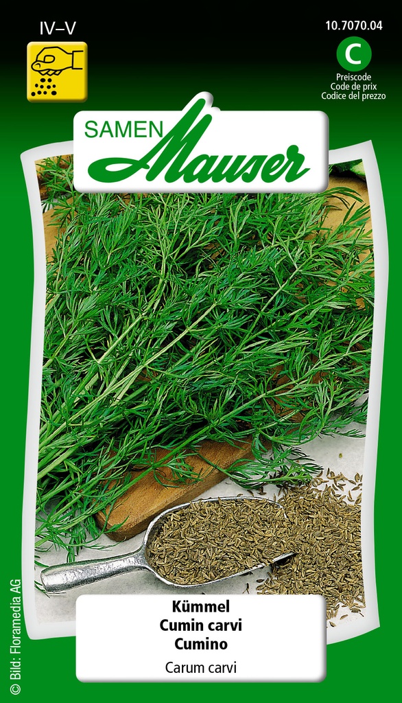 Cumin carvi