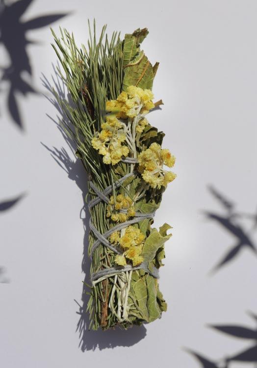 Bouquet de l'Ours pour fumigation: pin sylvestre, feuilles de figuier, fleurs d'immortelles