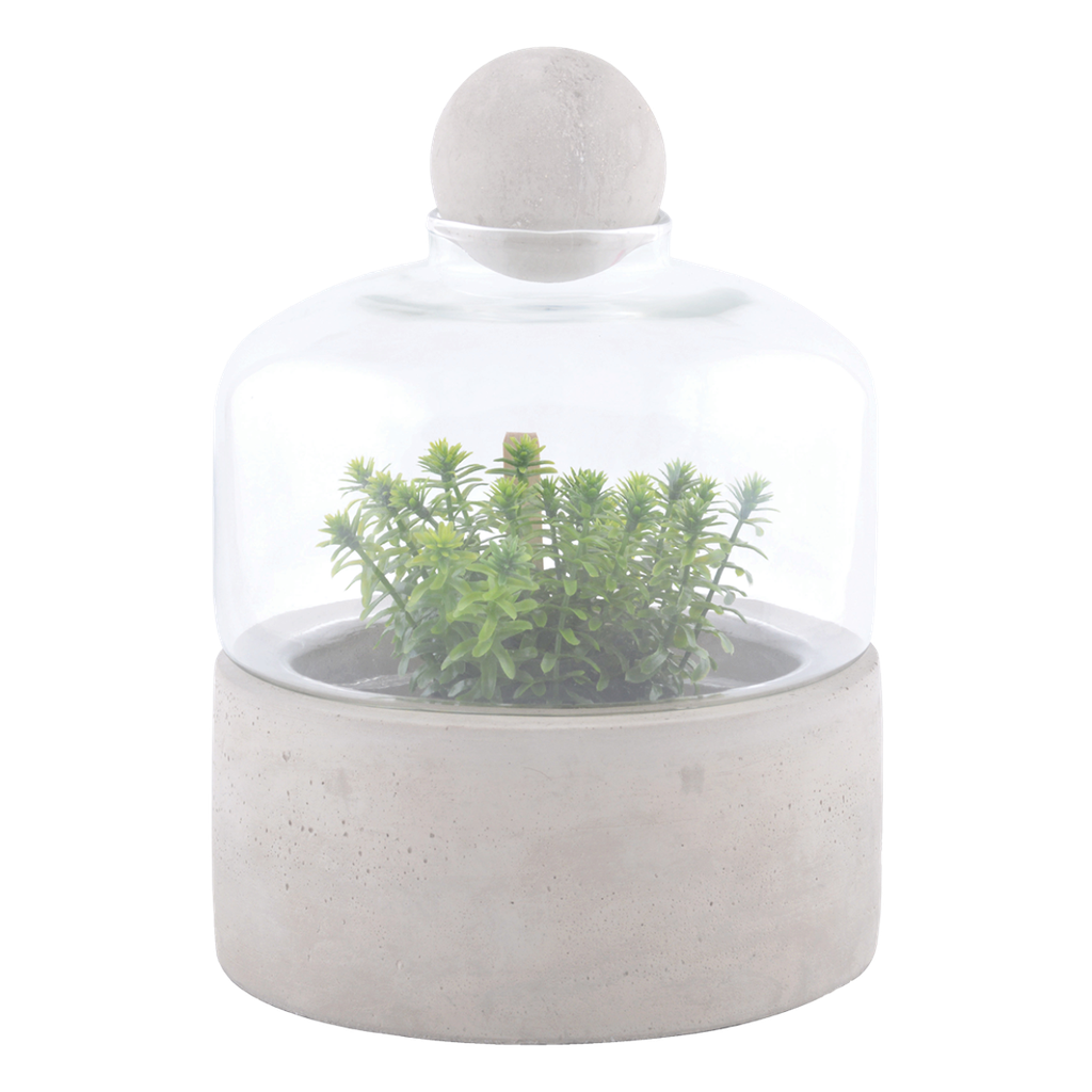 Bouteille terrarium base béton S