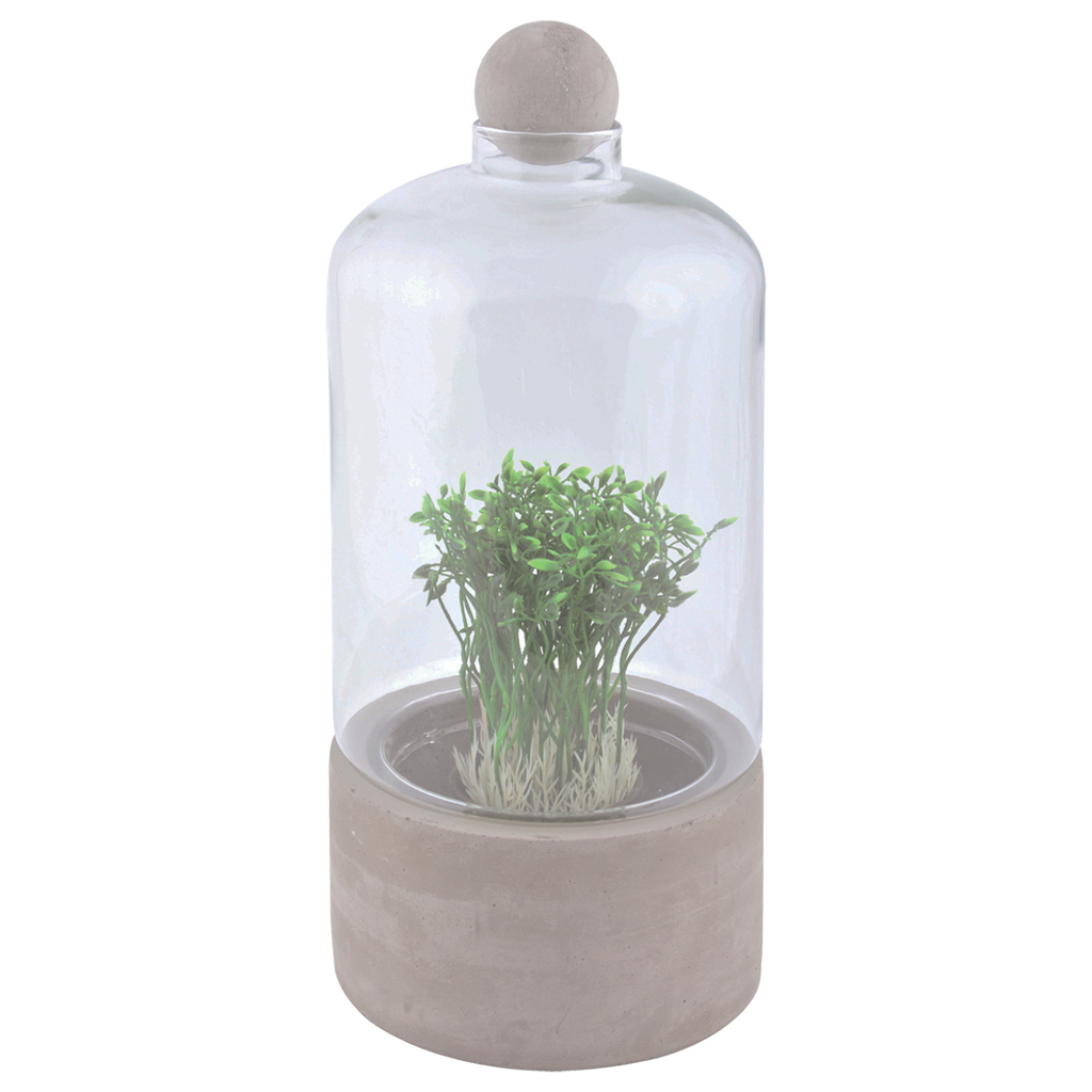 Bouteille terrarium base béton L