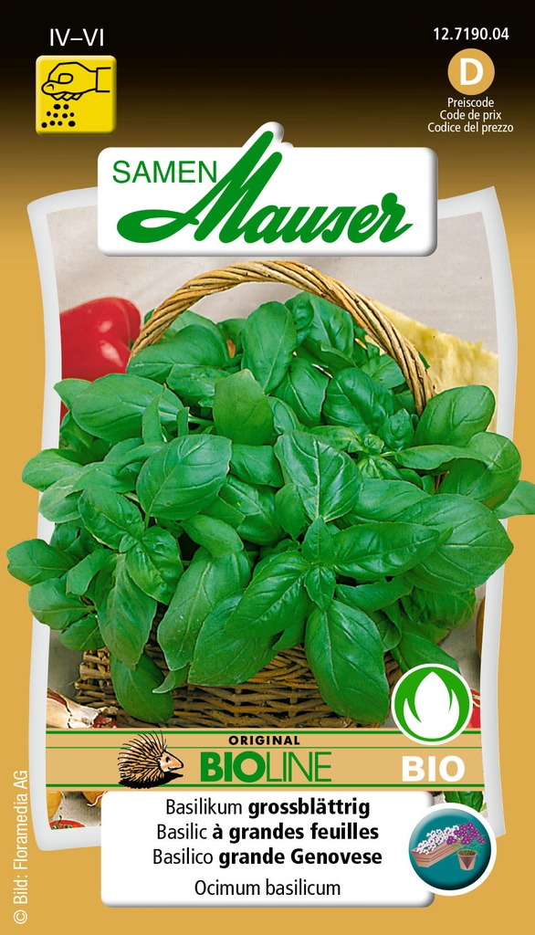 Basilic à grande Feuille BIO