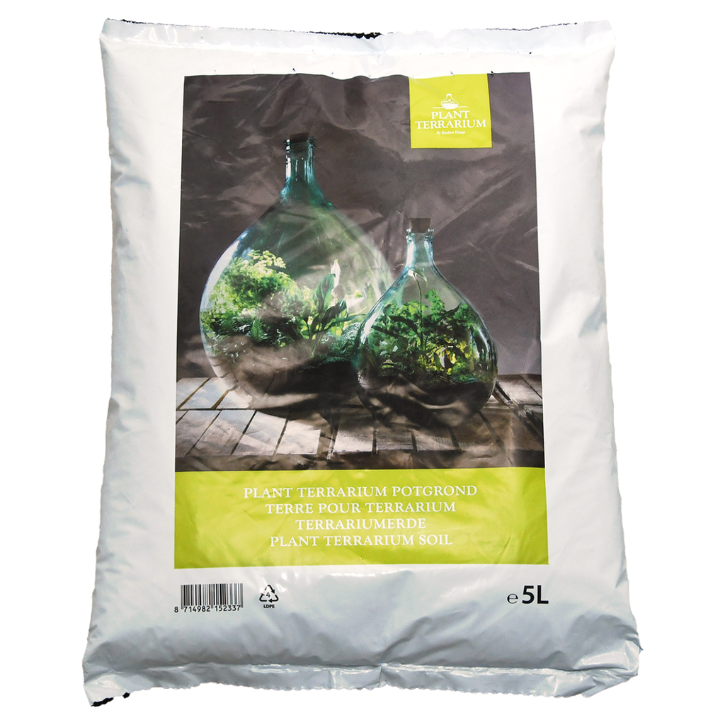 Terre pour terrarium