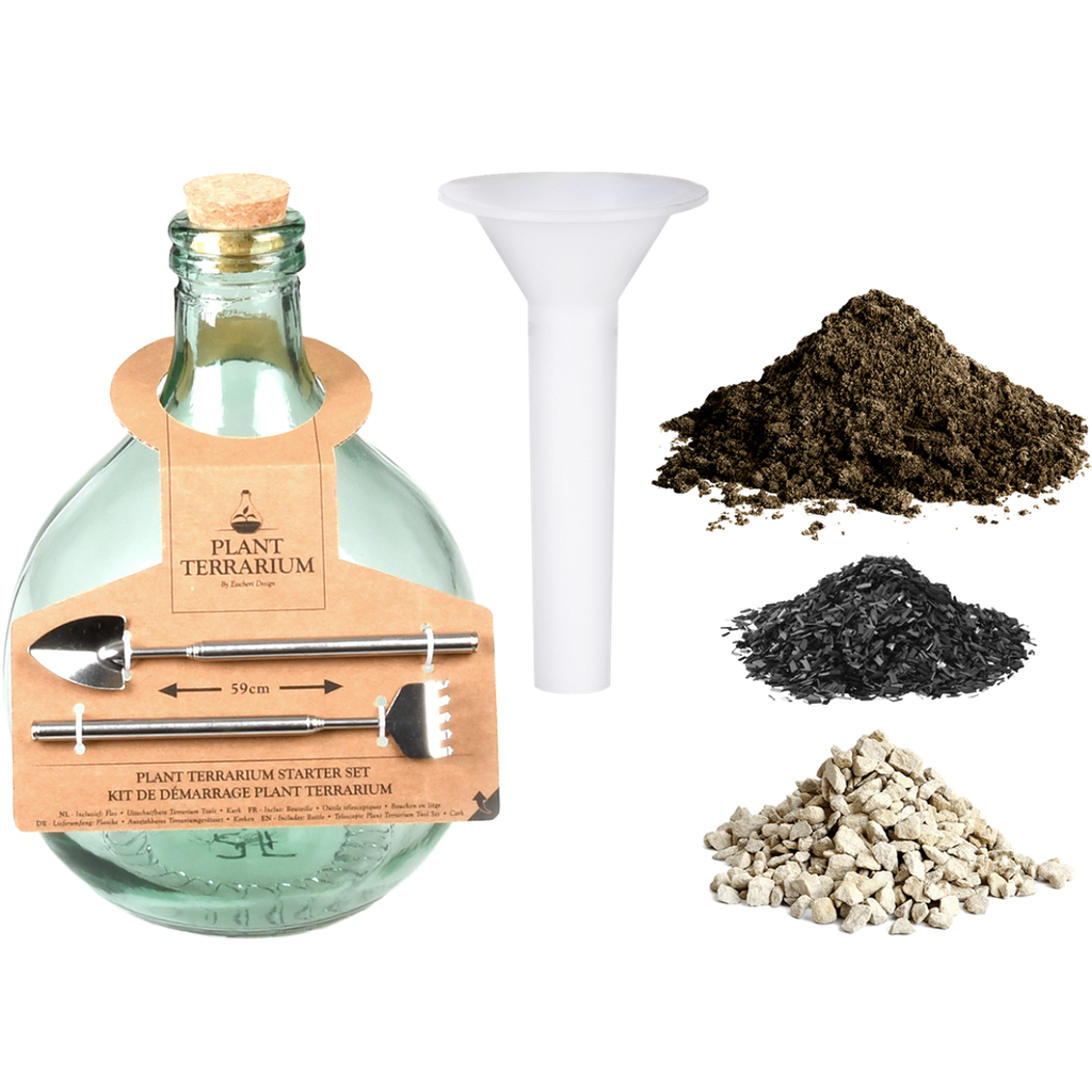 DIY Bouteille terrarium 5L set