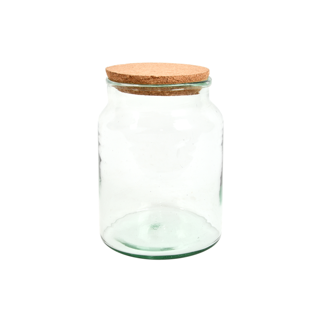 Bouteille terrarium semi ouverte S