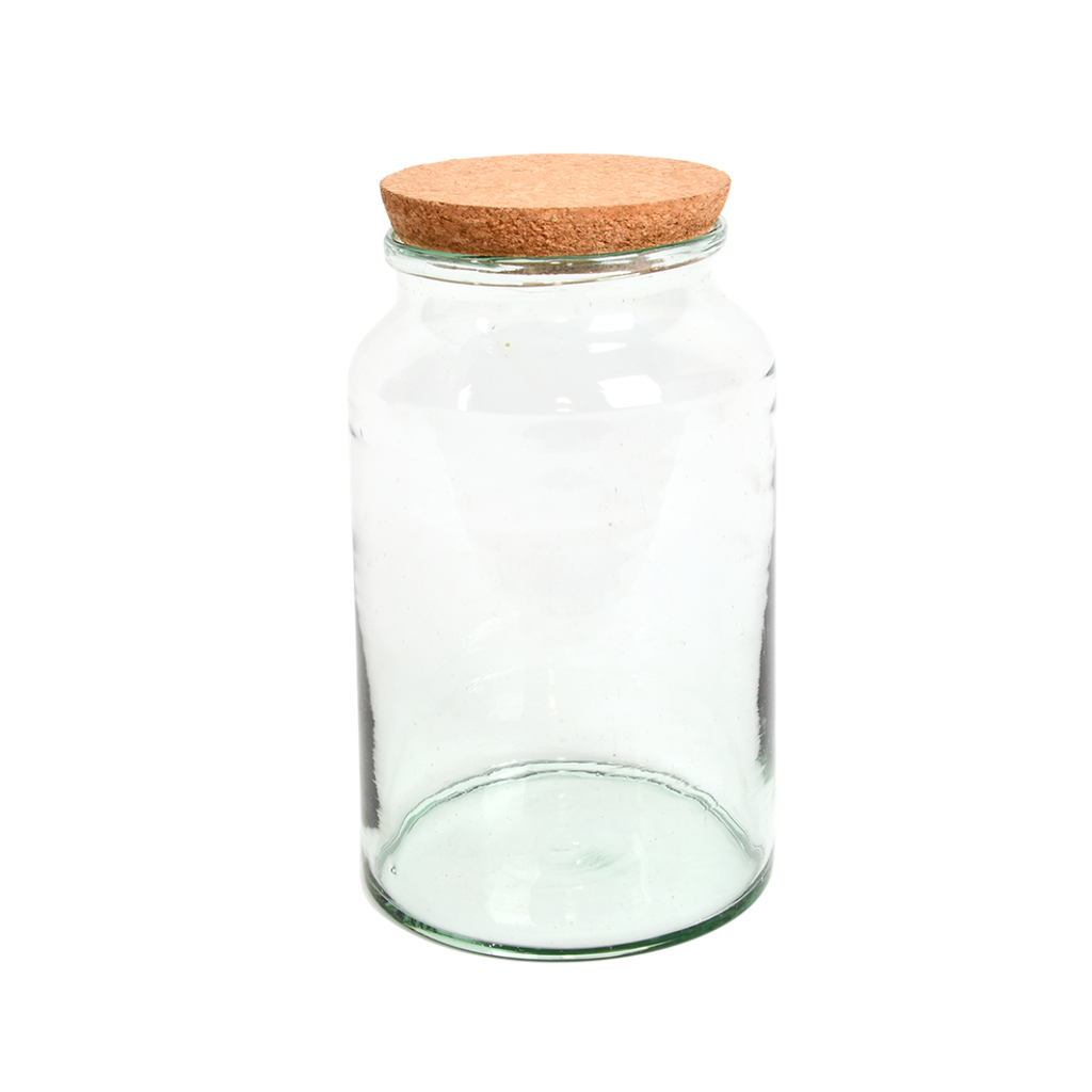 Bouteille terrarium semi ouvert M