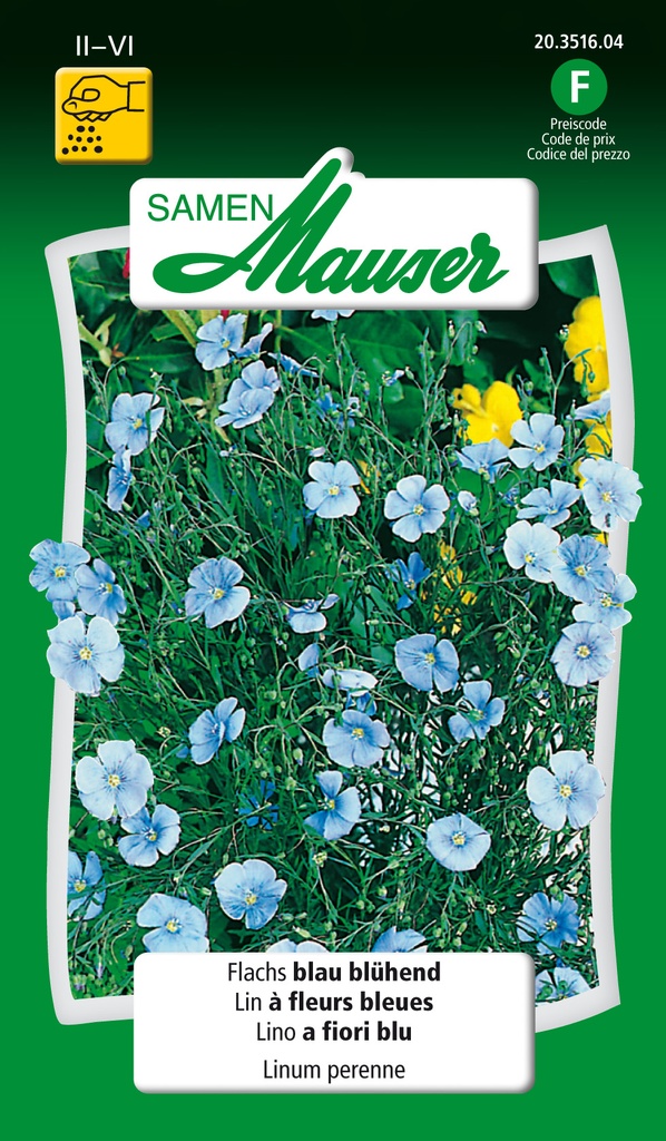 Lin perenne a fleur Bleues