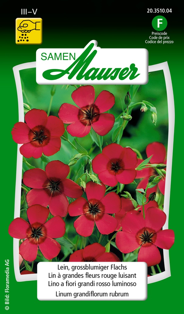 Lin A grand fleurs rouge Lobélia Crystal Palace