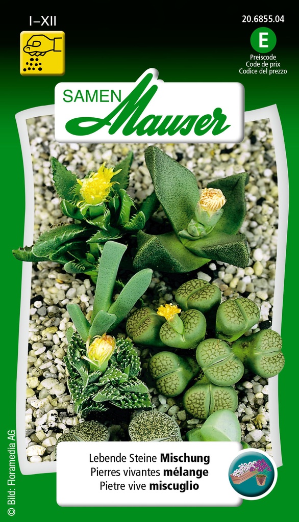 Lithops mélange