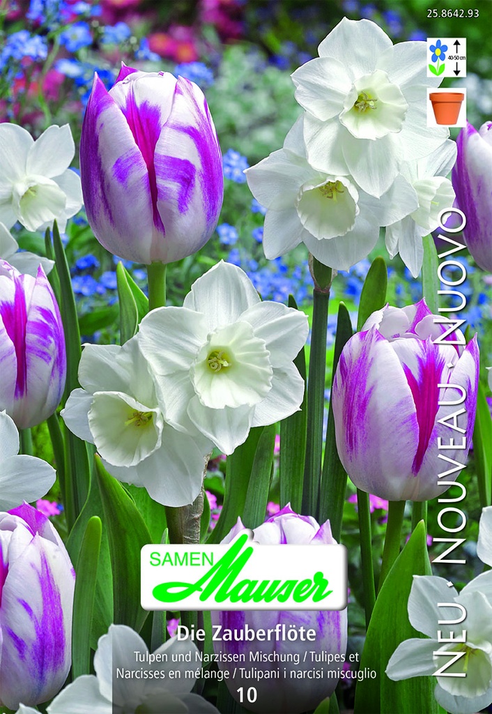 Narcisse & tulipe En melange Zauberflöte 10