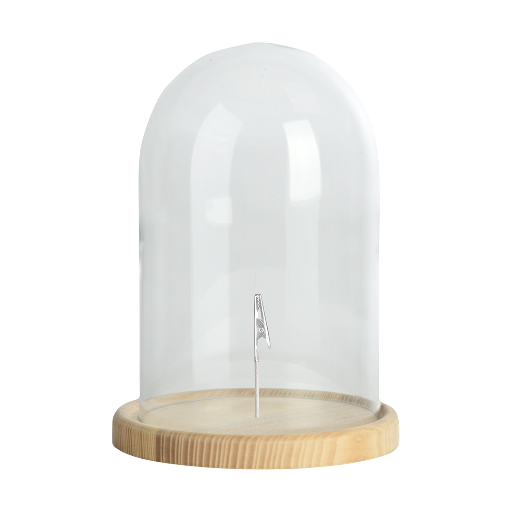 Cloche en verre avec pince S