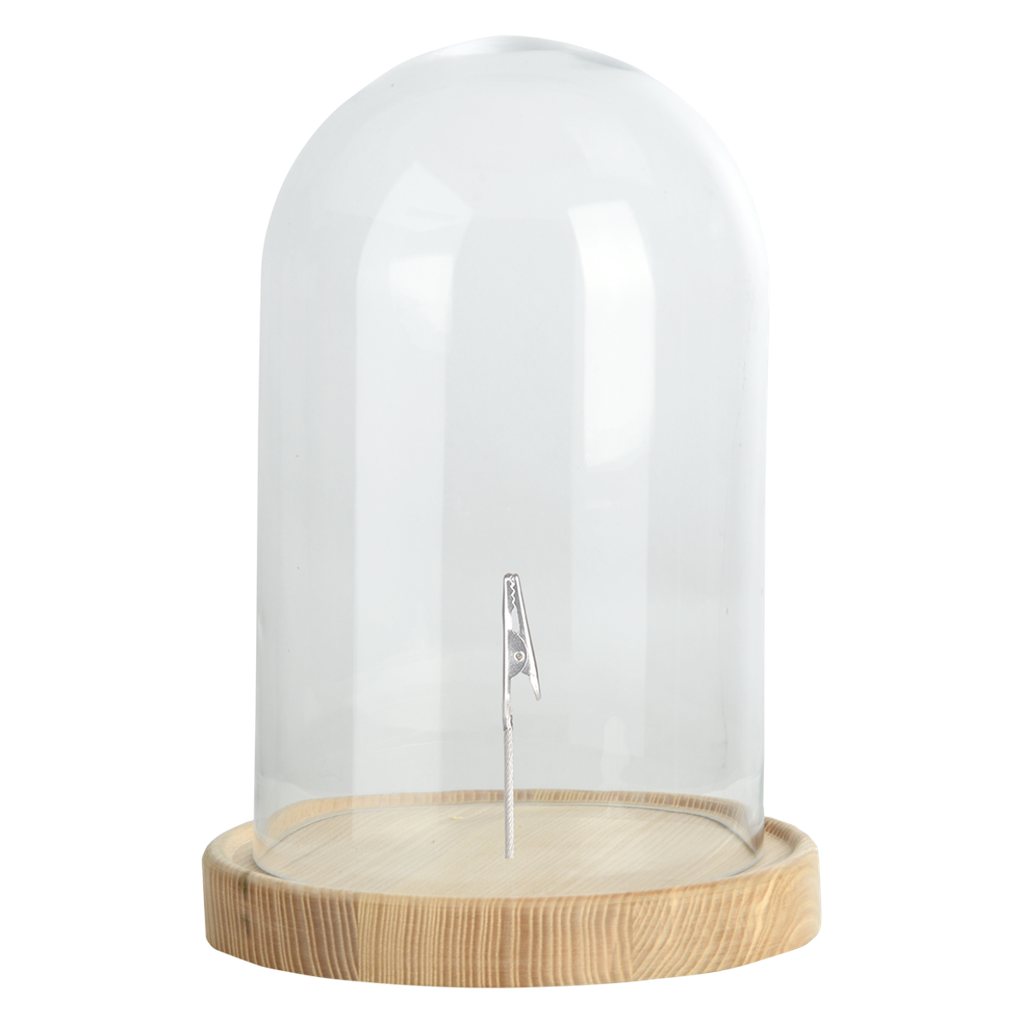Cloche en verre avec pince L