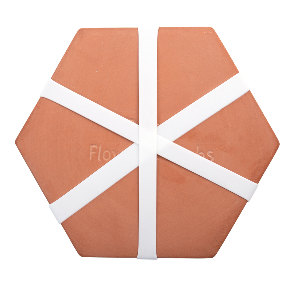 Fleurs et herbes presse micro-ondes