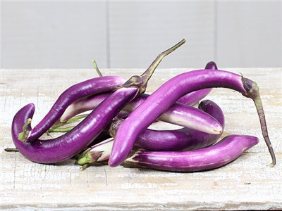 Aubergine 'Ping-Tung Long'