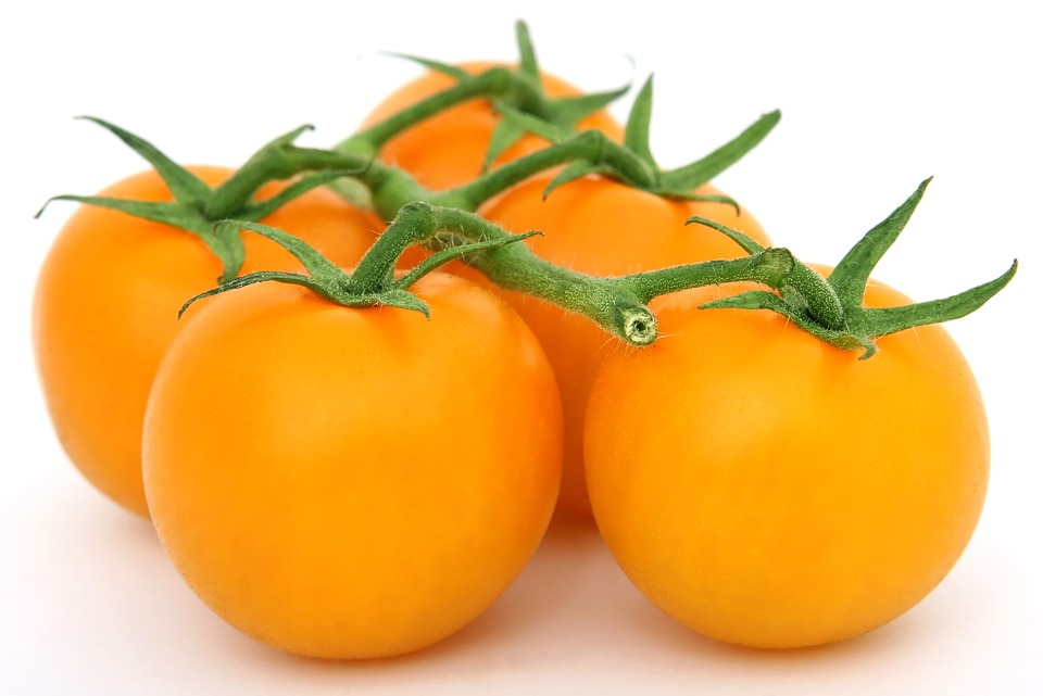 Tomate greffée 'Bolzano'