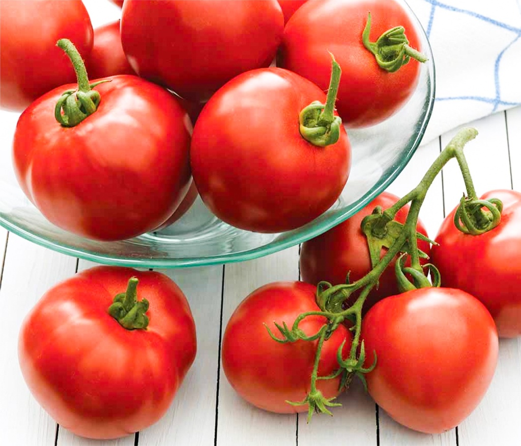 Tomate greffée 'Cristal'