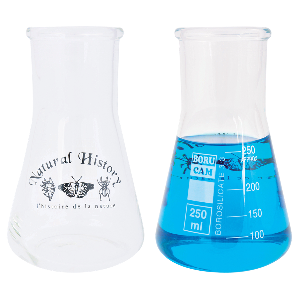 Fiole Erlenmeyer 300 ml