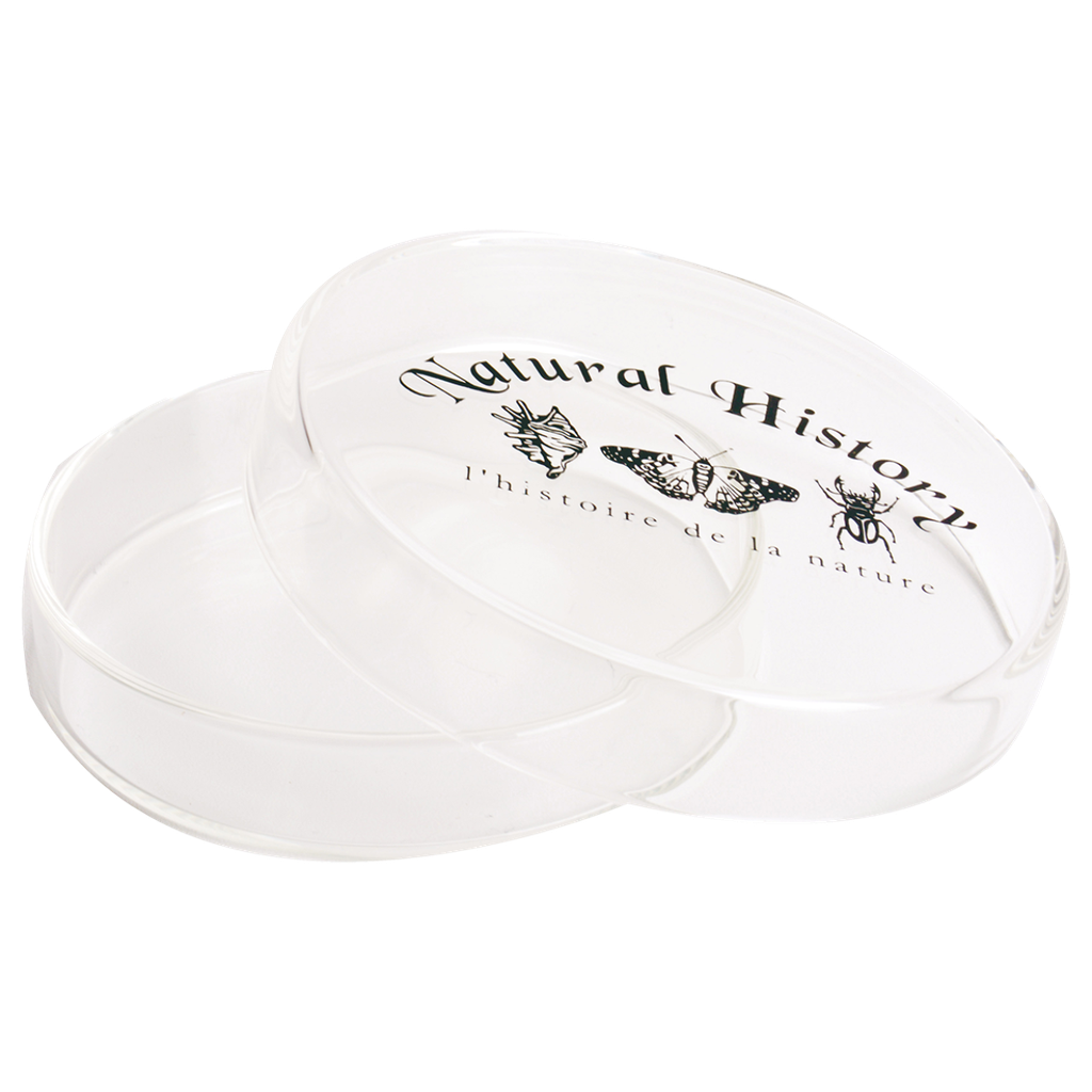 Boite de Pétri 50 ml