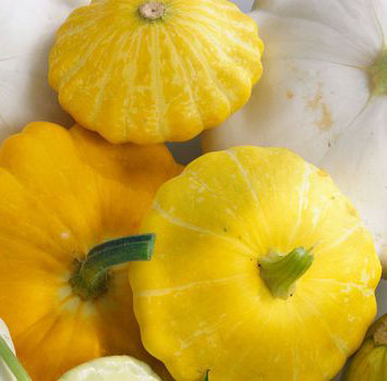 Patisson jaune