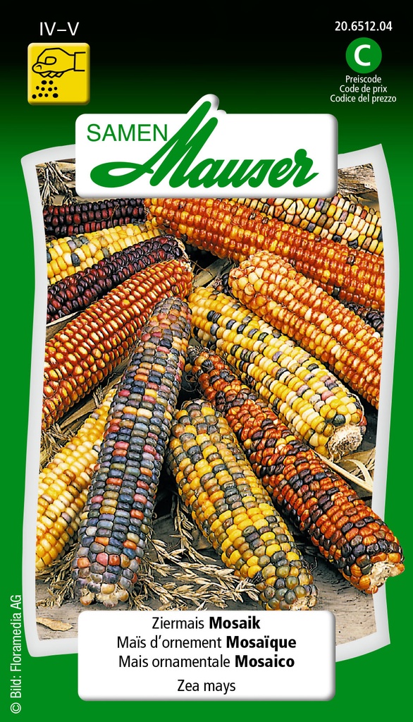 Maïs d'ornement mosaïque