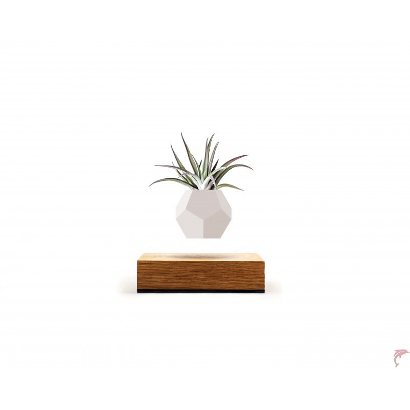 Lyfe Planter Walnut
