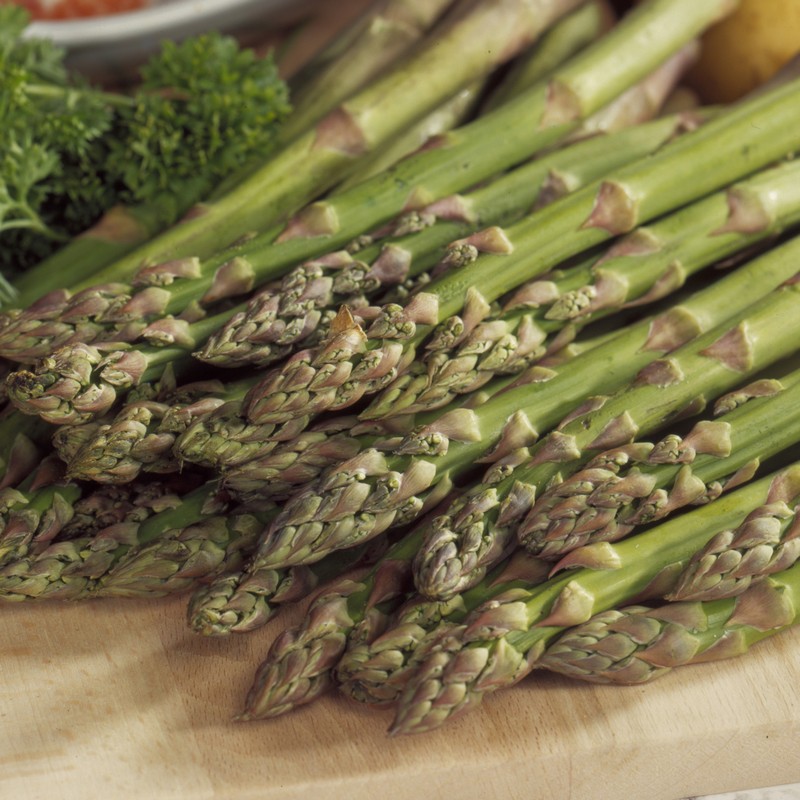 Asparagus officinalis 'Mary Washington'