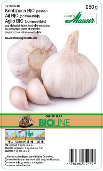 Ail BIO à réplanter Automne 250g