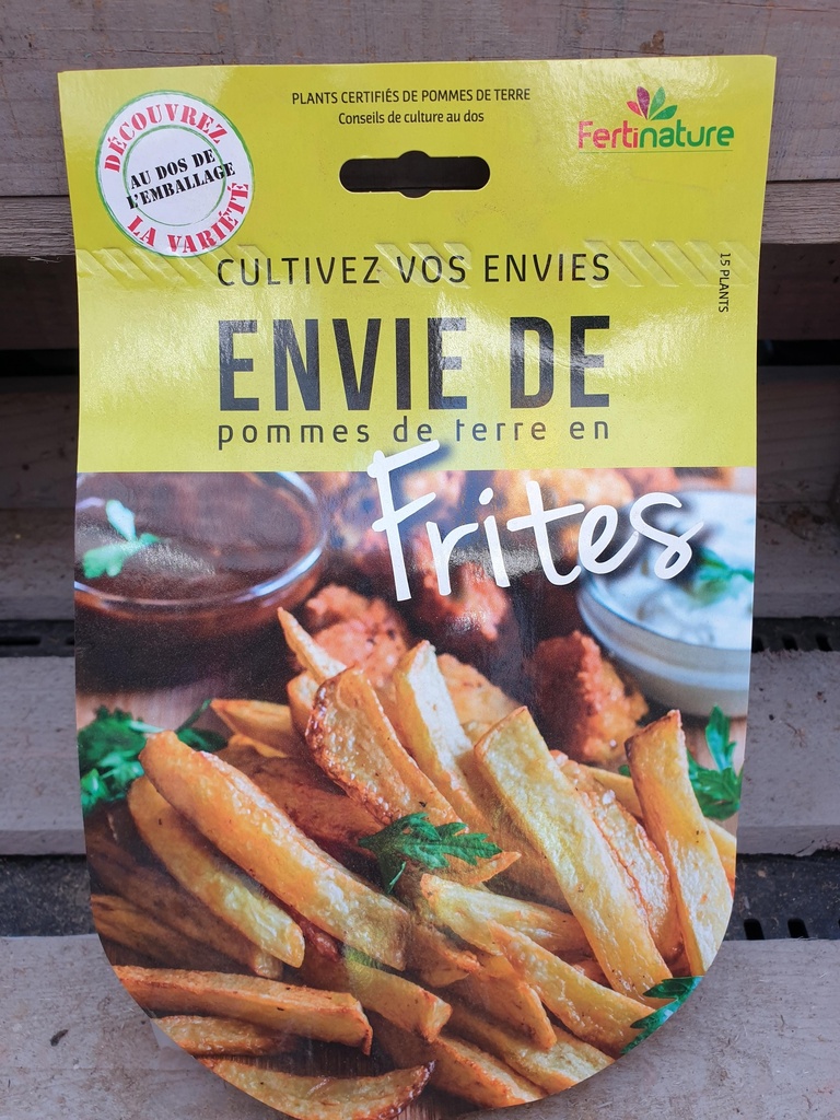 ENVIE DE FRITES 15 PLANTS