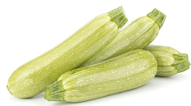 Courgette 'Lorea blanche'