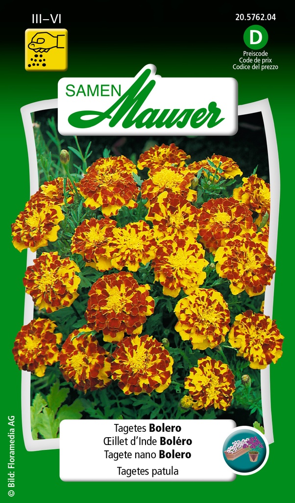 Oeillet d'Inde Boléro