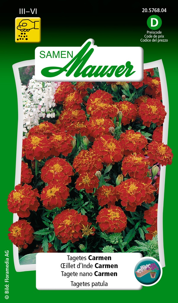 Oeillet d'Inde Carmen